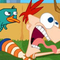 Troble Maker Platypusq