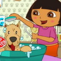 Dora Pet Grooming