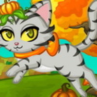 Purrfect Kitten Halloween