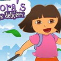Dora Box Delivery