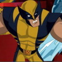 Wolverine Adventure Factory