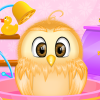 Baby Owl Care