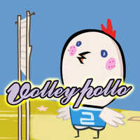 Volley Pollo