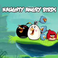 Naughty Angry Birds
