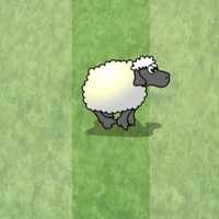 Sheep Dash