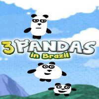 3 Pandas In Brazil