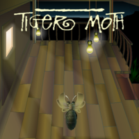 Tiger Moth