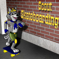 Scout Skateboarding