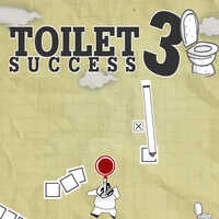 Toilet Success 3