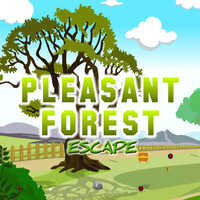 Pleasant Forest Escape