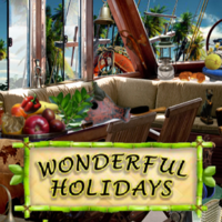 Wonderful Holidays