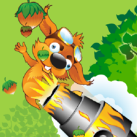 Squirrel Cannon