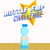 Bottle Flip Challenge