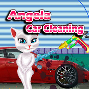 Angela Car Cleaning