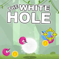 The White Hole