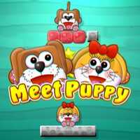 Meet Puppy