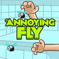 Annoying Fly
