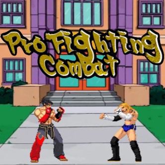 Pro Fighting Combat