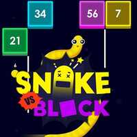 Snake Vs Block