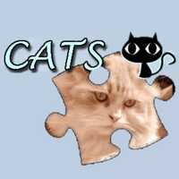Jigsaw Puzzle Cats