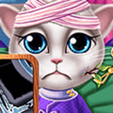 Kitty Hospital Recovery