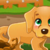 Lost Puppy