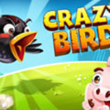 Crazy Birds 2