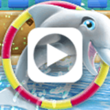 My Dolphin Show Trailer