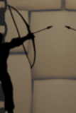 Shadow Archer