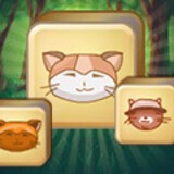 Jolly Jong Cats